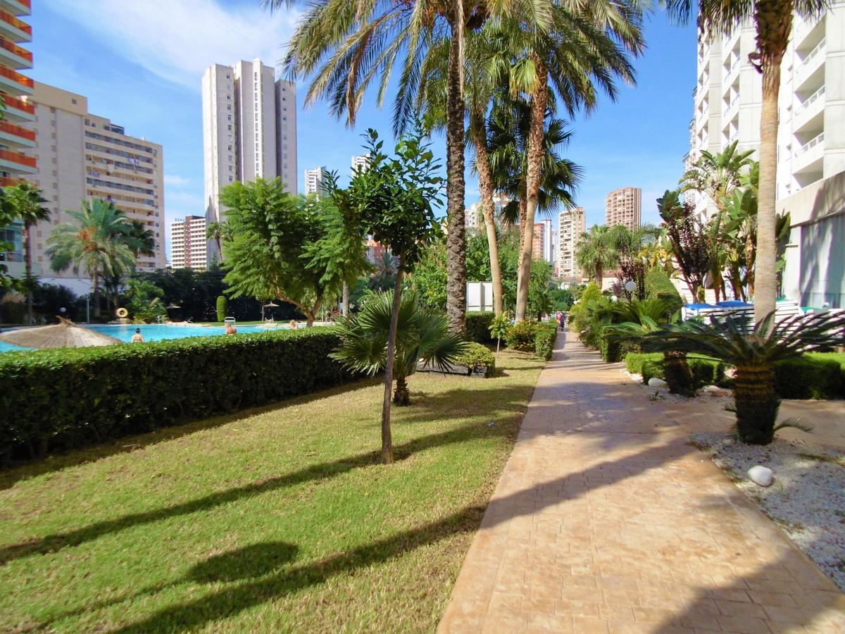 Gemelos 22-3-1C Apartamento Benidorm Exterior foto